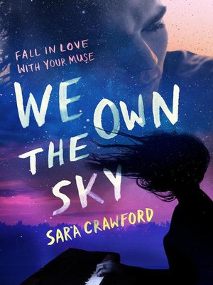 cover image of We Own the Sky